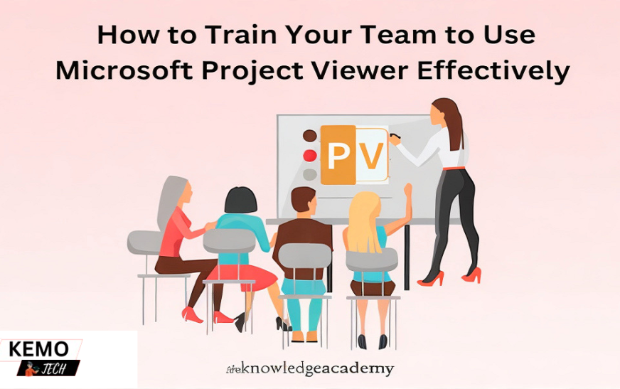 How to Train Your Team to Use Microsoft Project Viewer Effectively